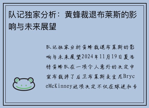 队记独家分析：黄蜂裁退布莱斯的影响与未来展望