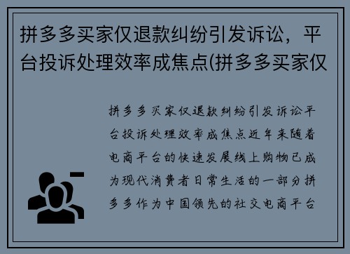 拼多多买家仅退款纠纷引发诉讼，平台投诉处理效率成焦点(拼多多买家仅退款申请质量问题怎么办)