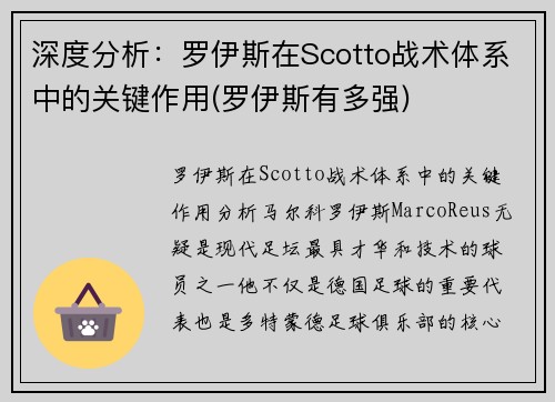 深度分析：罗伊斯在Scotto战术体系中的关键作用(罗伊斯有多强)